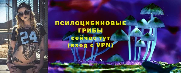 первитин Алексин