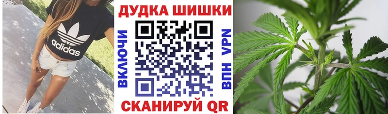 Бошки марихуана сатива  наркотики  площадка какой сайт  Курлово 